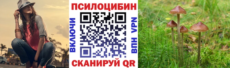Псилоцибиновые грибы MAGIC MUSHROOMS  ОМГ ОМГ ссылки  Когалым  продажа наркотиков 